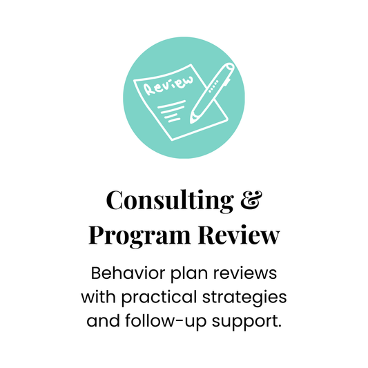 Consulting & Program Review