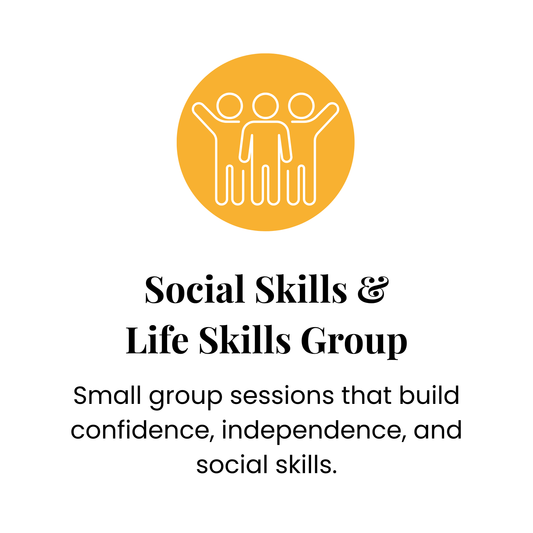 Social Skills & Life Skills Group